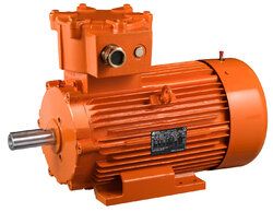 ATEX AC motor